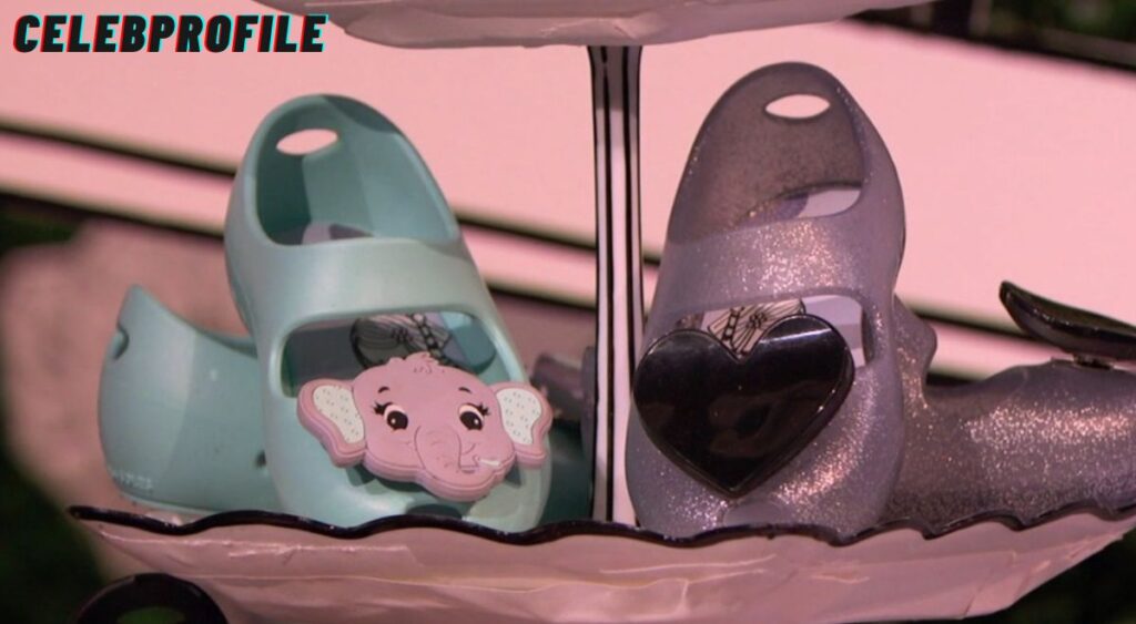 Baubles and Soles Net Worth & Shark Tank Story : Complete Guide 2026